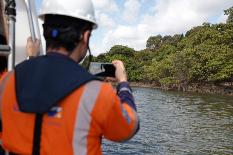CPRH descarta relação entre dragagem em Suape e supostas mortes de animais marinhos